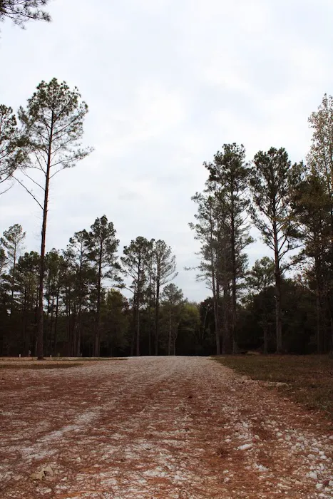 Georgia Mountain RV Resort 4