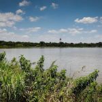 Florida Palms Estates