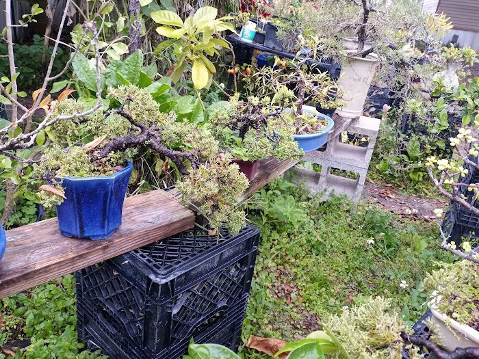 Enchanted Grove Mobile Home 2