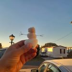 Enchanted Grove Mobile Home