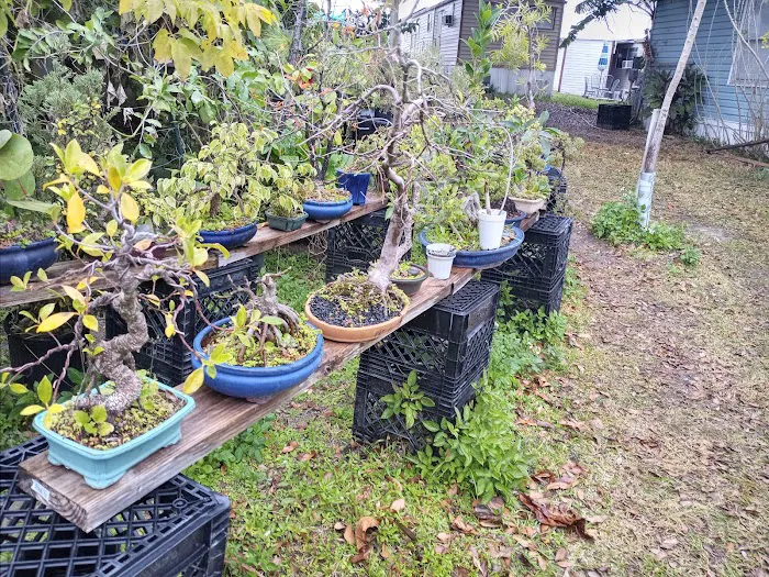 Enchanted Grove Mobile Home 7