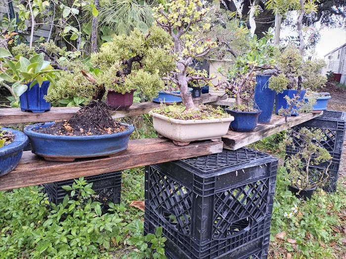 Enchanted Grove Mobile Home 8