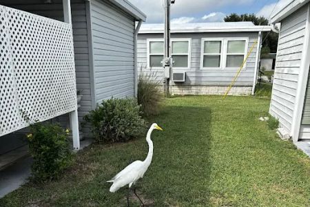 Dunedin Palms Mobile Home Park