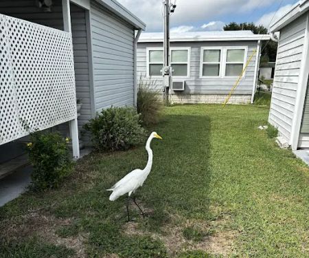 Dunedin Palms Mobile Home Park