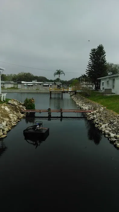 Dunedin Palms Mobile Home Park 8