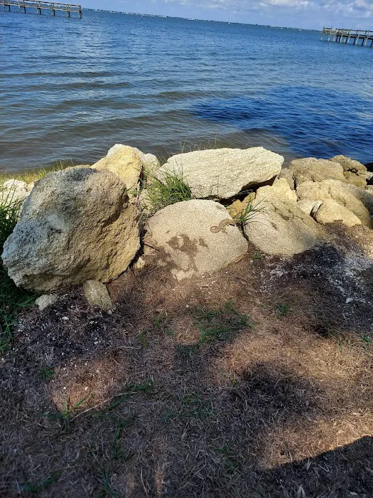 Sea Shell RV Park 3