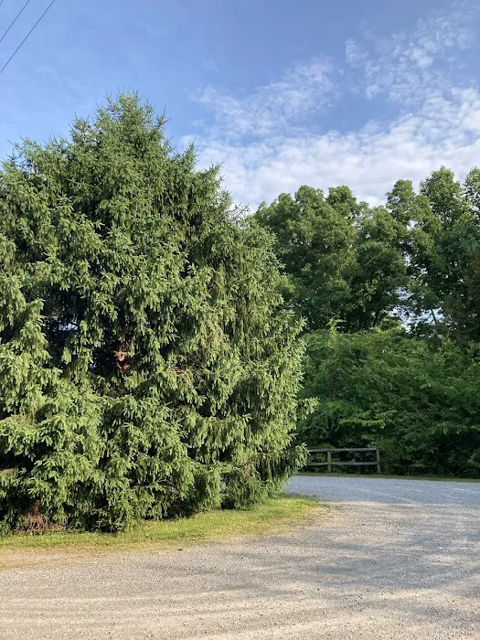 Blue Moon RV Park (Formerly Overniter RV Park) 10