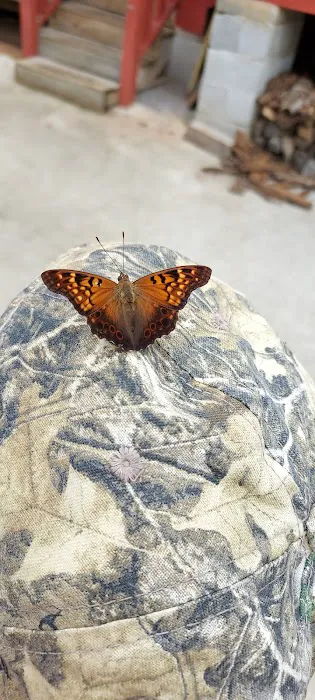 Tennessee Country Campground 6