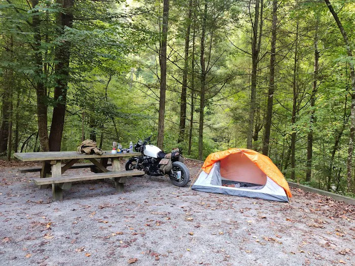 Citico Creek Campsite 9 1