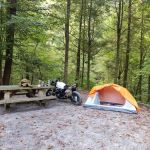 Citico Creek Campsite 9