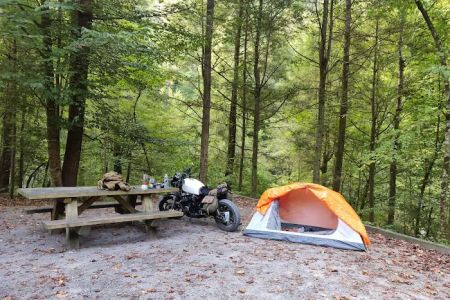Citico Creek Campsite 9