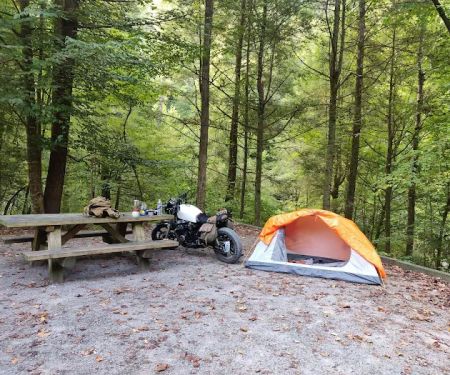 Citico Creek Campsite 9