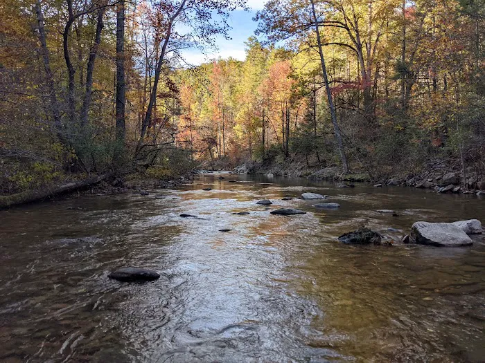 Citico Creek Campsite 9 2