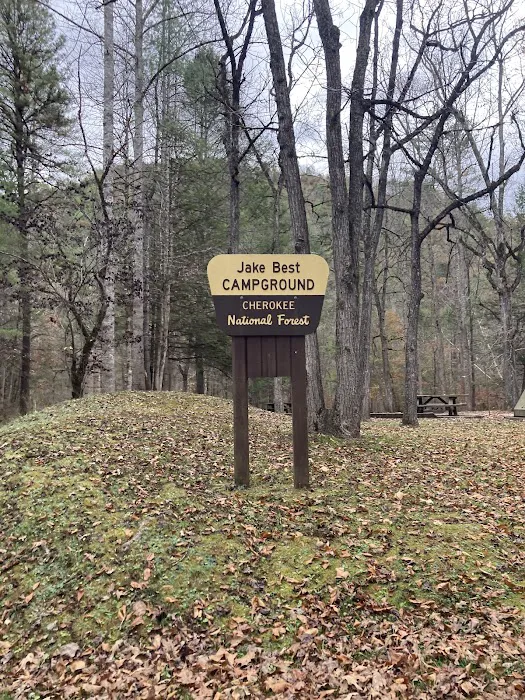 Citico Creek Campsite 9 3