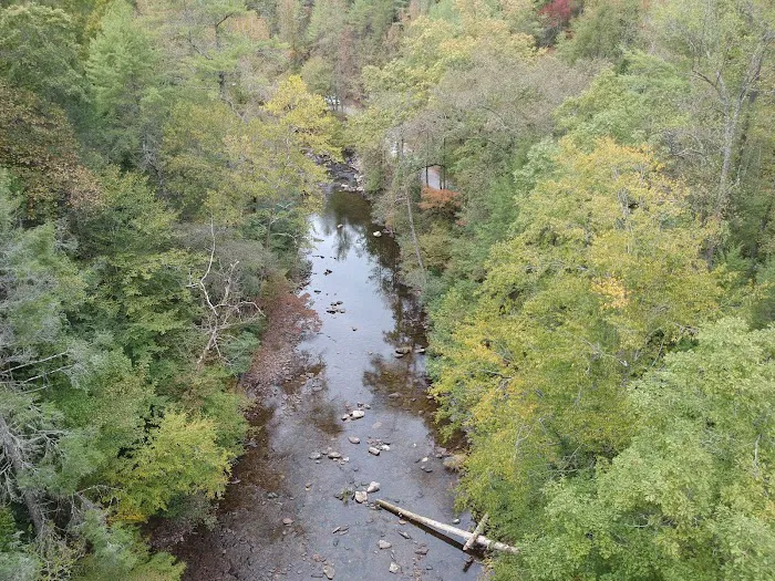 Citico Creek Campsite 9 5