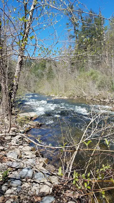 Citico Creek Campsite 9 6