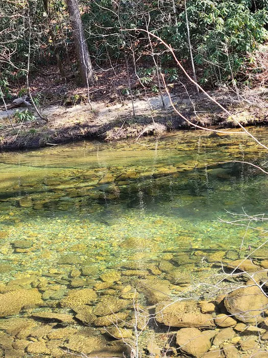 Citico Creek Campsite 9 7