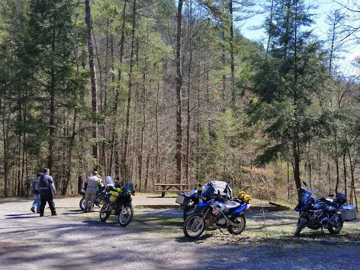 Citico Creek Campsite 9 8