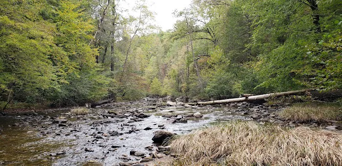 Citico Creek Campsite 9 9