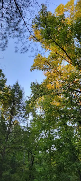 Citico Creek Campsite 9 10