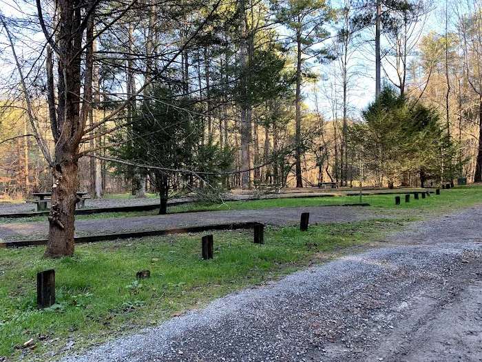 Citico Creek Campsite 5 2
