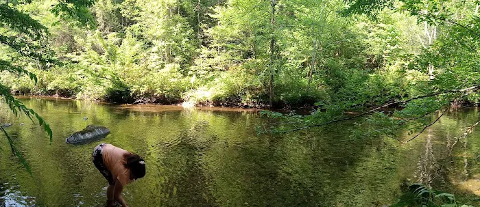 Citico Creek Campsite 5 1