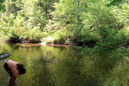 Citico Creek Campsite 5