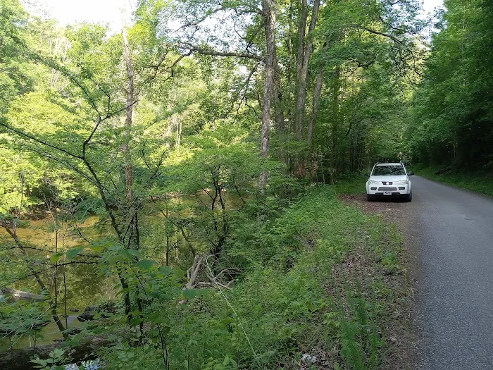 Citico Creek Campsite 5 3