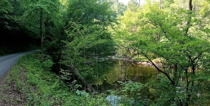 Citico Creek Campsite 5 4