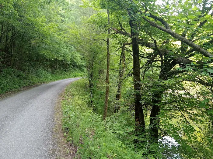 Citico Creek Campsite 5 6