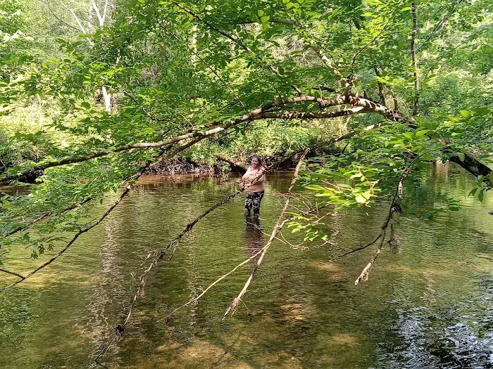 Citico Creek Campsite 5 7