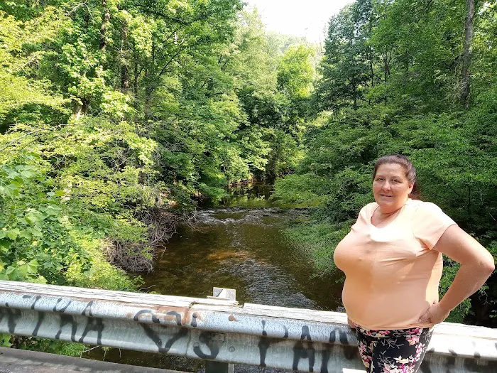 Citico Creek Campsite 5 9