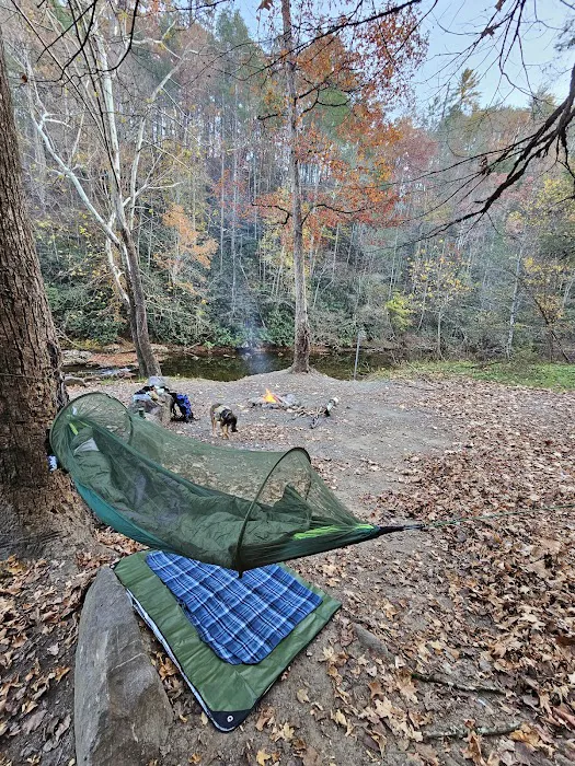 Cherokee National Forest Citico Creek Campsite 3 2