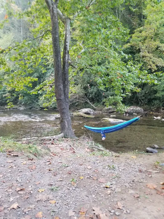 Cherokee National Forest Citico Creek Campsite 3 3