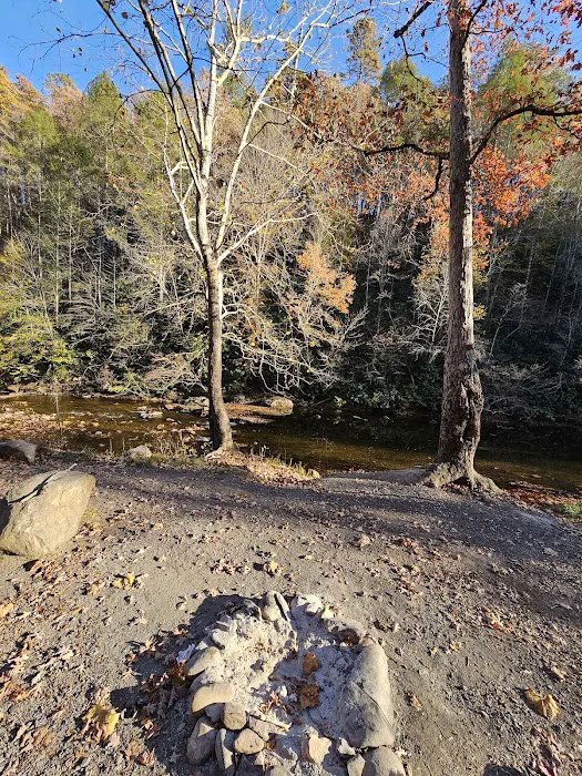 Cherokee National Forest Citico Creek Campsite 3 6