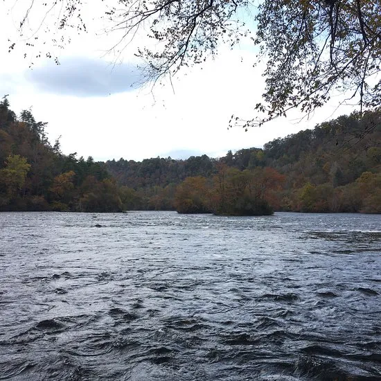 Cherokee National Forest Citico Creek Campsite 3 5