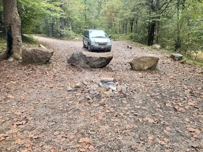 Cherokee National Forest Citico Creek Campsite 3 7