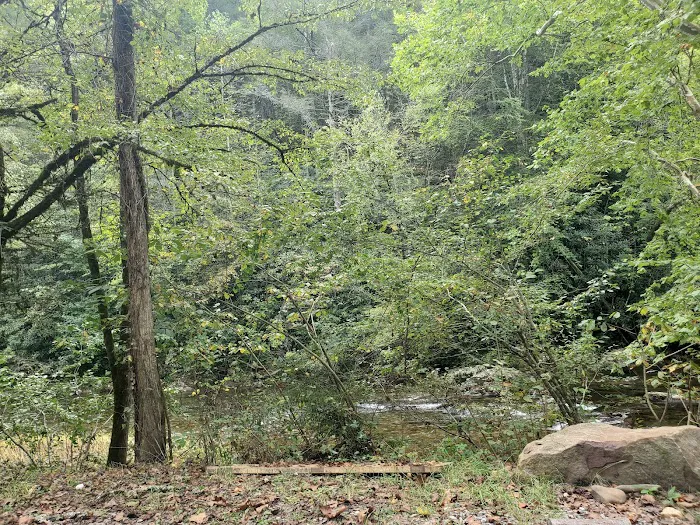 Cherokee National Forest Citico Creek Campsite 3 9