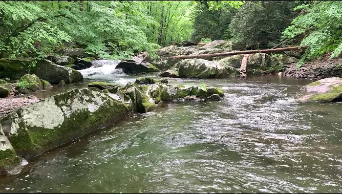 Calderwood Lake Campsite #1 1