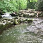 Calderwood Lake Campsite #1
