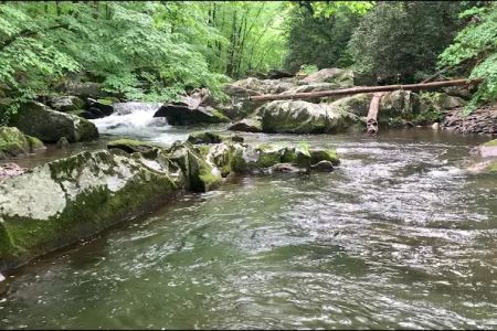 Calderwood Lake Campsite #1