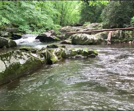 Calderwood Lake Campsite #1