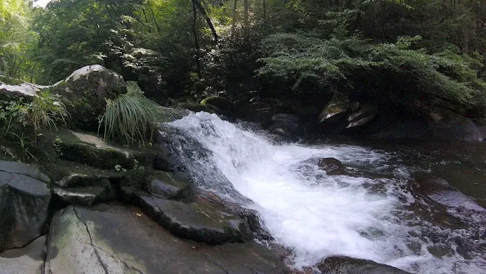 Calderwood Lake Campsite #1 6