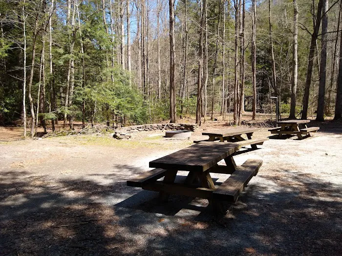 Rattler Ford Campground, Cheoah Ranger District, Nantahala National Forest 4