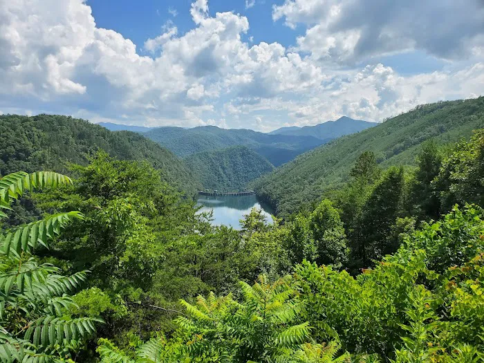 Rattler Ford Campground, Cheoah Ranger District, Nantahala National Forest 9