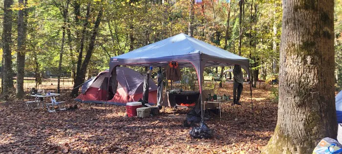 Rattler Ford Campground, Cheoah Ranger District, Nantahala National Forest 10