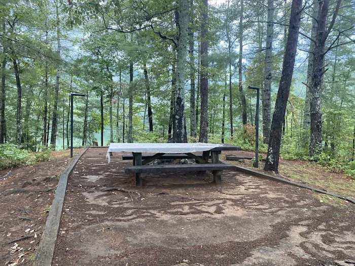 Lake Santeetlah Campsite 9