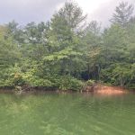 Lake Santeetlah Campsite #3