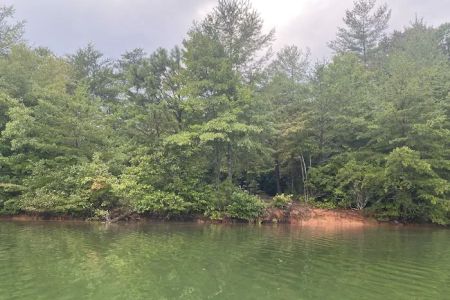 Lake Santeetlah Campsite #3