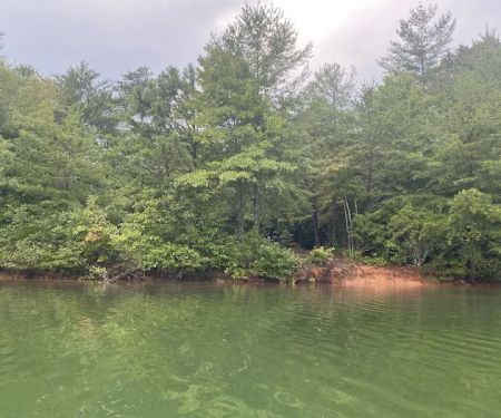 Lake Santeetlah Campsite #3